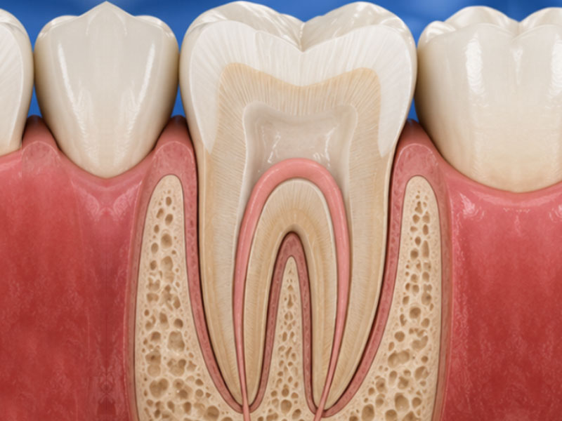 Restorative Dentistry